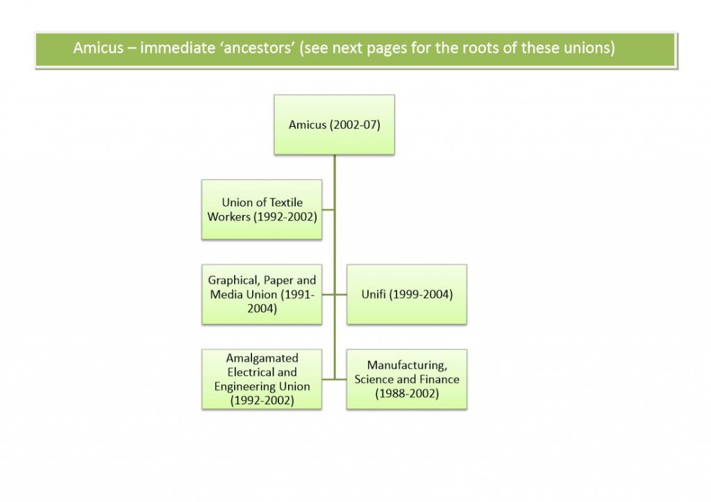Amicus family tree