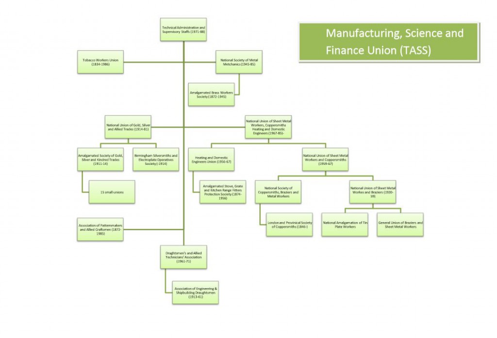 MSF TASS family tree
